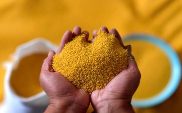 粮食教案优质5篇