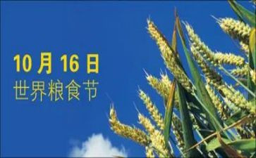 爱粮食节约粮食演讲稿通用6篇
