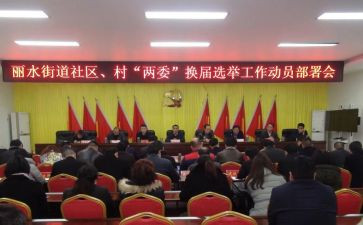 村两委会2024年工作总结通用8篇