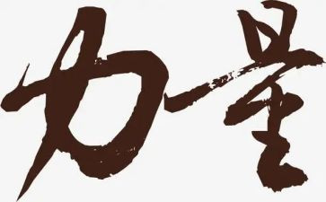 2024团结就是力量心得体会6篇