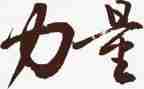2024团结就是力量心得体会6篇