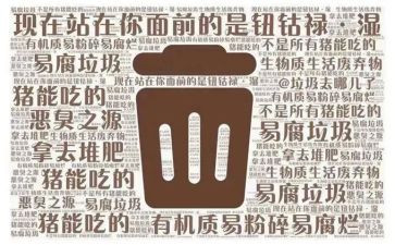 大班垃圾分类活动教案6篇