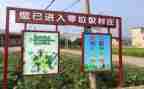 垃圾站调查报告模板5篇