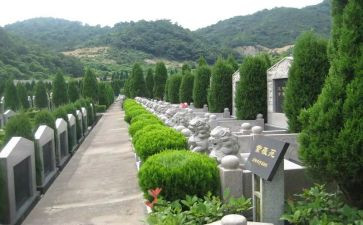 烈士陵园观后心得7篇