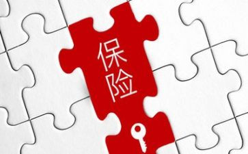 保险公司理赔工作总结5篇