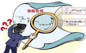 保险理赔工作总结参考8篇