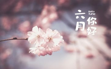 六月个人总结幼儿园8篇