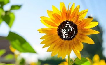 幼儿园小小班六月总结5篇