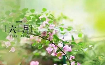 六月份中班工作总结8篇