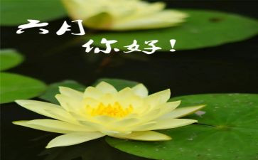 幼儿园六月份月总结参考6篇