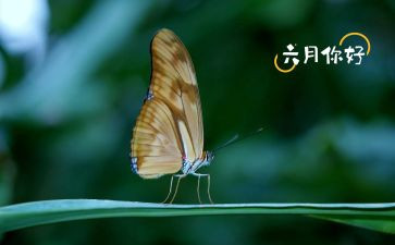 六月安全生产月心得体会7篇