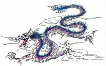 我与龙的作文最新6篇