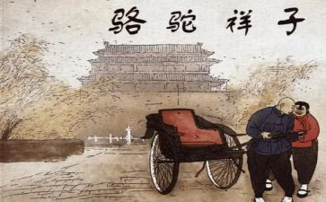 15找骆驼教学反思6篇