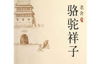骆驼详的作文优质5篇