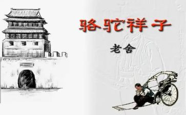 骆驼详的作文8篇