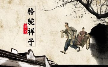 16找骆驼堂教学反思8篇