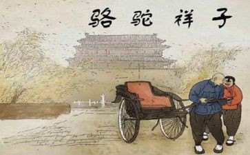 骆驼祥子作文600字6篇