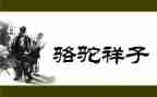 读《骆驼祥子》有感作文8篇