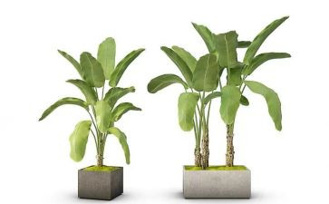 四年级下册语文《绿》教学反思6篇