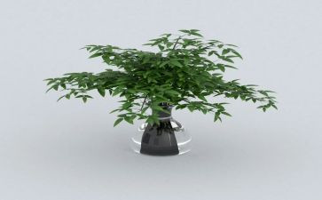 《绿野仙踪》的读后感推荐6篇