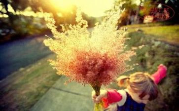 慢教育读书心得精选8篇