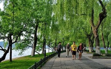 我在雨中漫步作文600字6篇