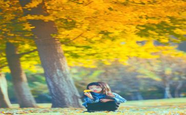 桥的满分作文7篇