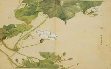 氓的作文800字精选8篇