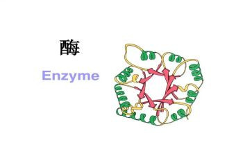 酶工程学习心得体会8篇