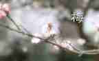 桂梅先进事迹心得体会精选8篇