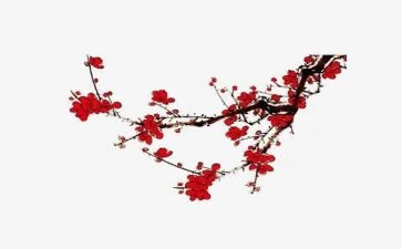 梅花好作文500字7篇