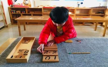 蒙氏小班月总结优秀6篇