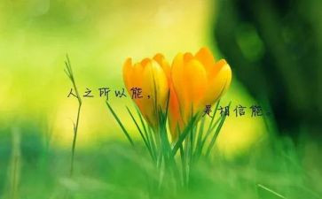 名人的英语小作文模板5篇