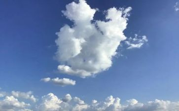 明天,我…作文精选6篇
