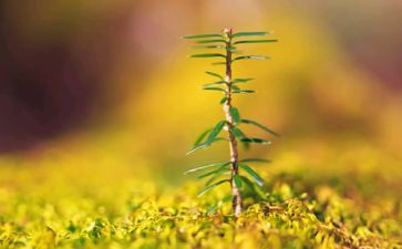 读书命运作文精选5篇