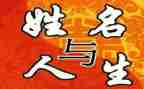 我的名字的来历的作文8篇