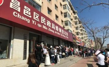 民政局个人总结7篇