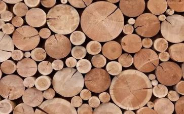 木材购销合同7篇