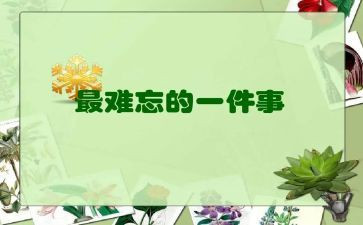 新年最难忘的事作文模板8篇
