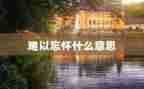 难以忘怀的爱作文优质5篇