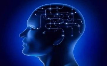 购电脑合同精选5篇