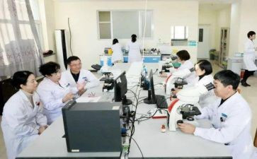 内科科主任工作总结5篇
