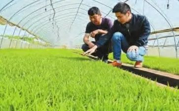 2024年农技人员培训心得体会5篇