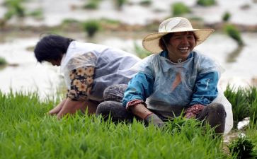 农民的感悟和心得7篇