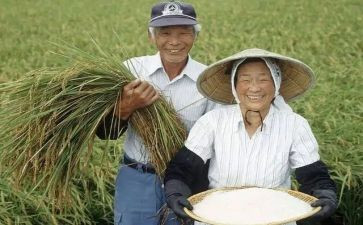 老农民作文6篇