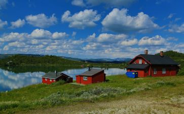 挪威的森林讲读后感8篇