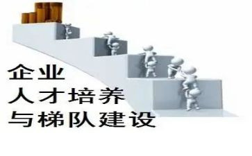 教师双培养的个人总结6篇