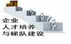 教师双培养的个人总结6篇