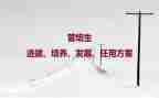 对孩子培养心得体会8篇