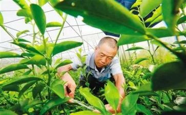 培育心得体会5篇